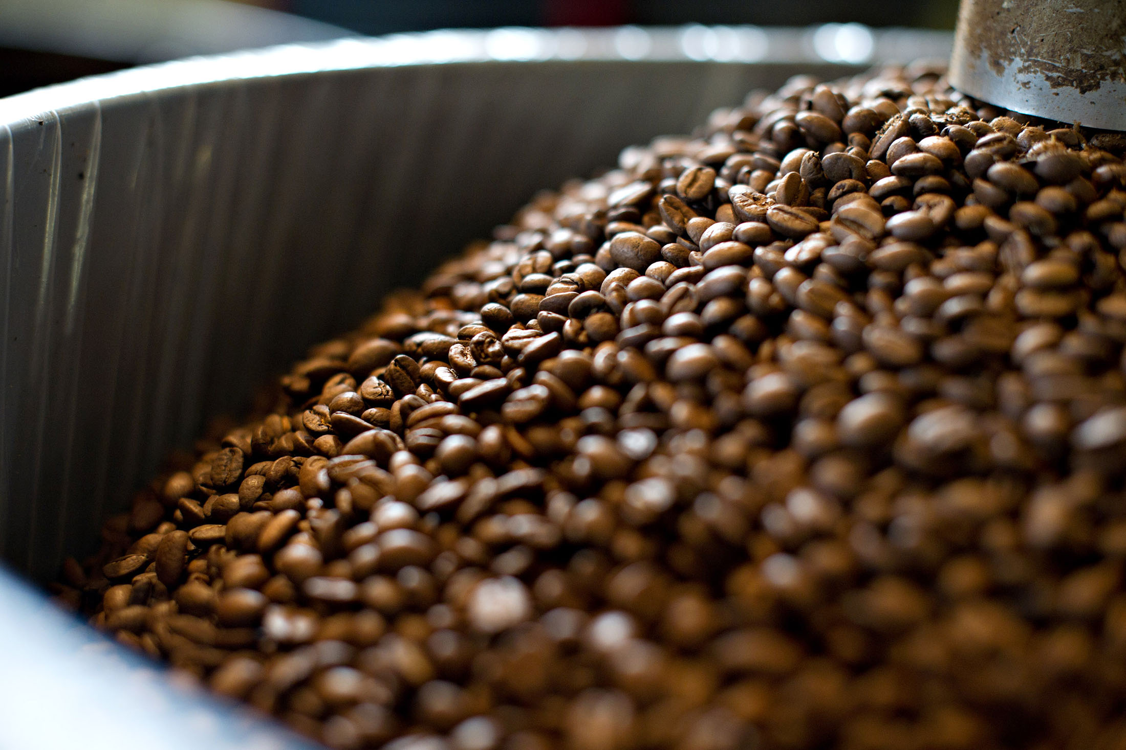 Coffee beans are cooled after roasting at Intelligentsia Coffee & Tea Inc. in Chicago, Illinois, U.S., on Friday, June 10, 2011. Prices for washed arabica coffee from Ethiopia rose by as much as 9.9 percent last week in trading on the Ethiopia Commodity Exchange.