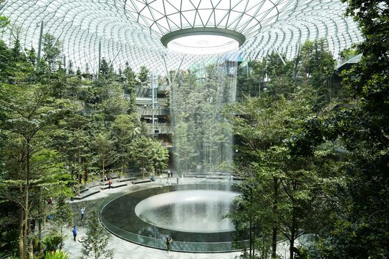 Singapore Plans Tree-Planting Bonanza to Battle Climate Change