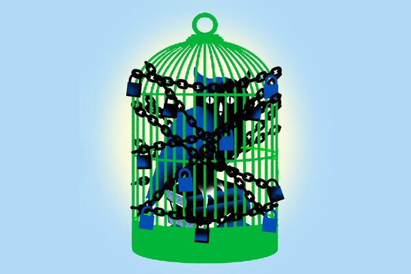 It’s Harder to Hide From a Bad Job Market in Grad School