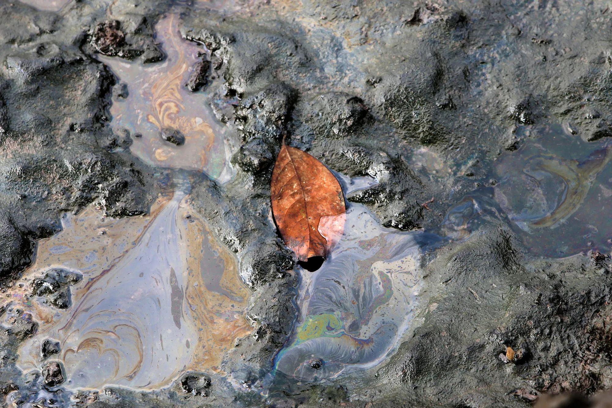 Water and mud polluted by oil sits in a creek in Nigeria.