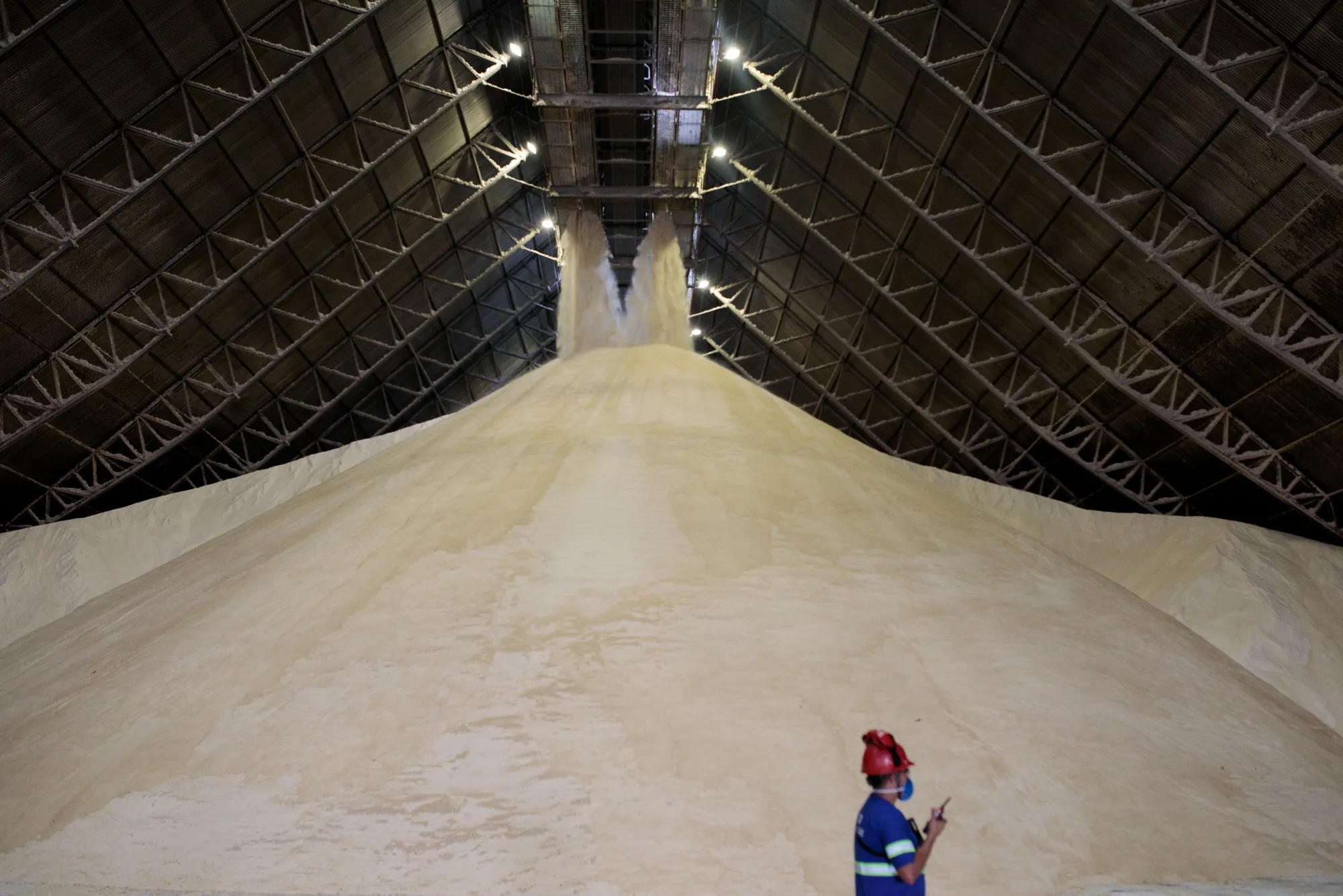 Brazil&nbsp;is expected to account for almost 75% of all raw sugar traded globally this year, according to consultancy firm Datagro.