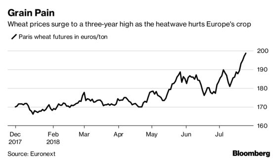 The Global Heatwave Is About to Hit Your Wallet