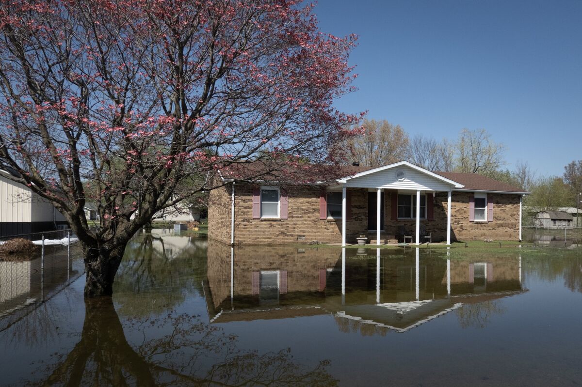 assets.bwbx.io image