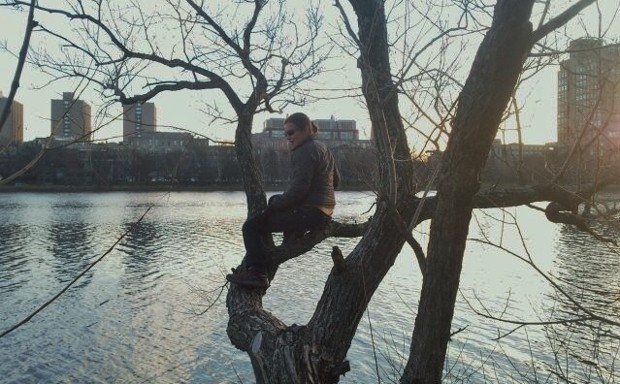 An intrepid climber overlooking the Charles River in Boston.