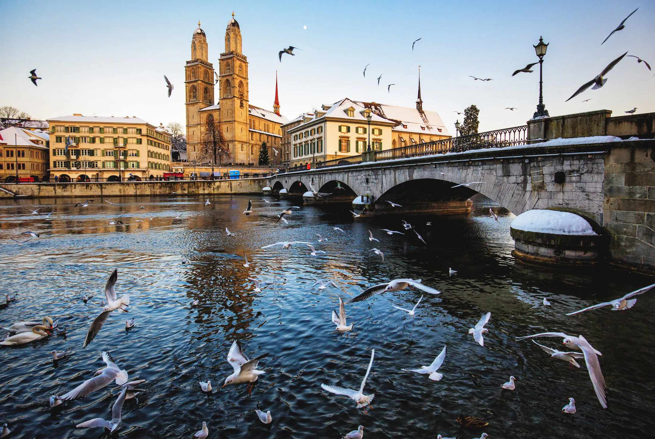 Zurich Grossmunster in Winter with Birds flying.
