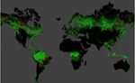relates to The World Has Lost an Unbelievable Amount of Forest Since 1999