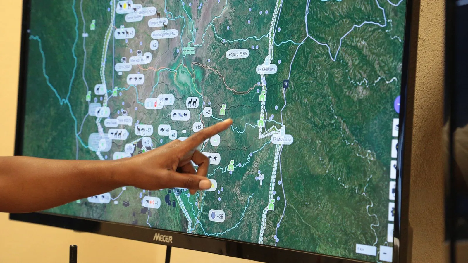 The EarthRanger system collates data from sources including collars on animals and vehicle-tracking devices across a wide area.