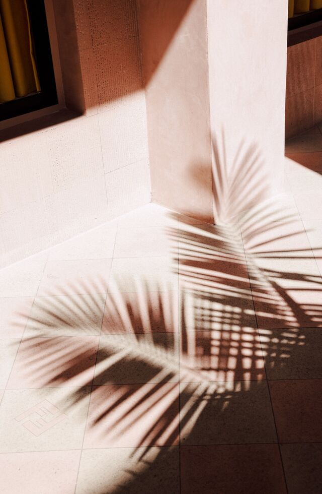 The shadow of a palm tree is cast on the tiled floor bearing the Fendi logo outside a clothing store. 