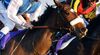 French jockey Olivier Peslier (2nd R, #14) rides on Slemia, the winner of the Prix de l'Arc de Triomphe, during the 2,400-metre (1.5 mile) Japan Cup horse race at the Tokyo Race Course on November 25, 2012. Gentildonna edged past Prix de l'Arc de Triomphe runner-up Orfevre by a nose to become the first three-year-old filly to win the Japan Cup horse racing. AFP PHOTO / KAZUHIRO NOGI (Photo credit should read KAZUHIRO NOGI/AFP via Getty Images)