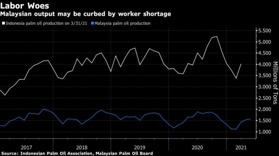 Palm Oil Output at Risk as Virus Lockdown Worsens Labor Shortage