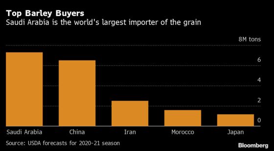 Saudi Arabia to Scrap Public State-Run Barley Tenders for Private Deals