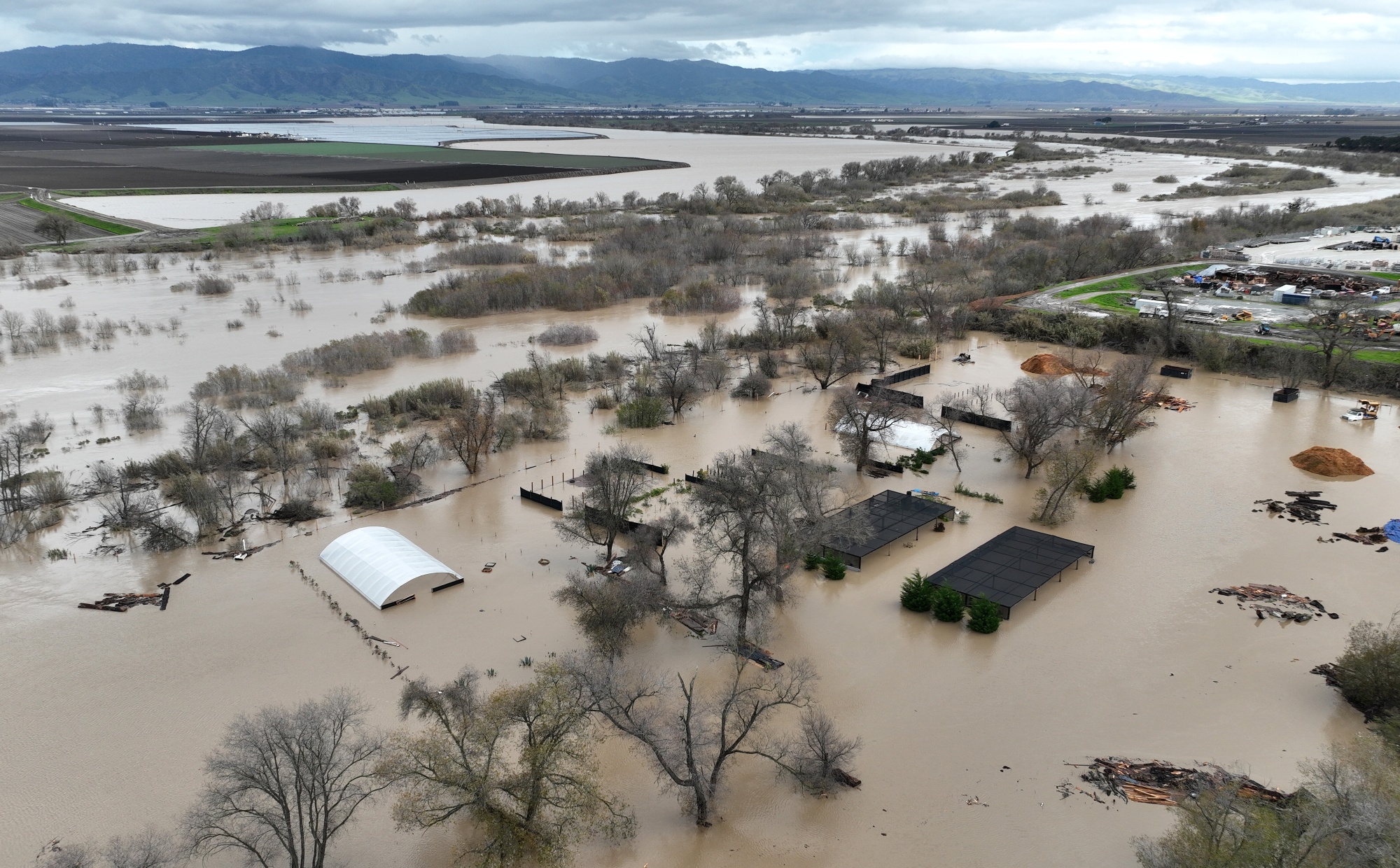 Climate Change El Niño Could Be a Glimpse of a Grim Future Bloomberg