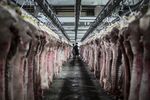 Buyers look at slaughtered pig carcasses hanging from hooks at a meat wholesale market in Shanghai.