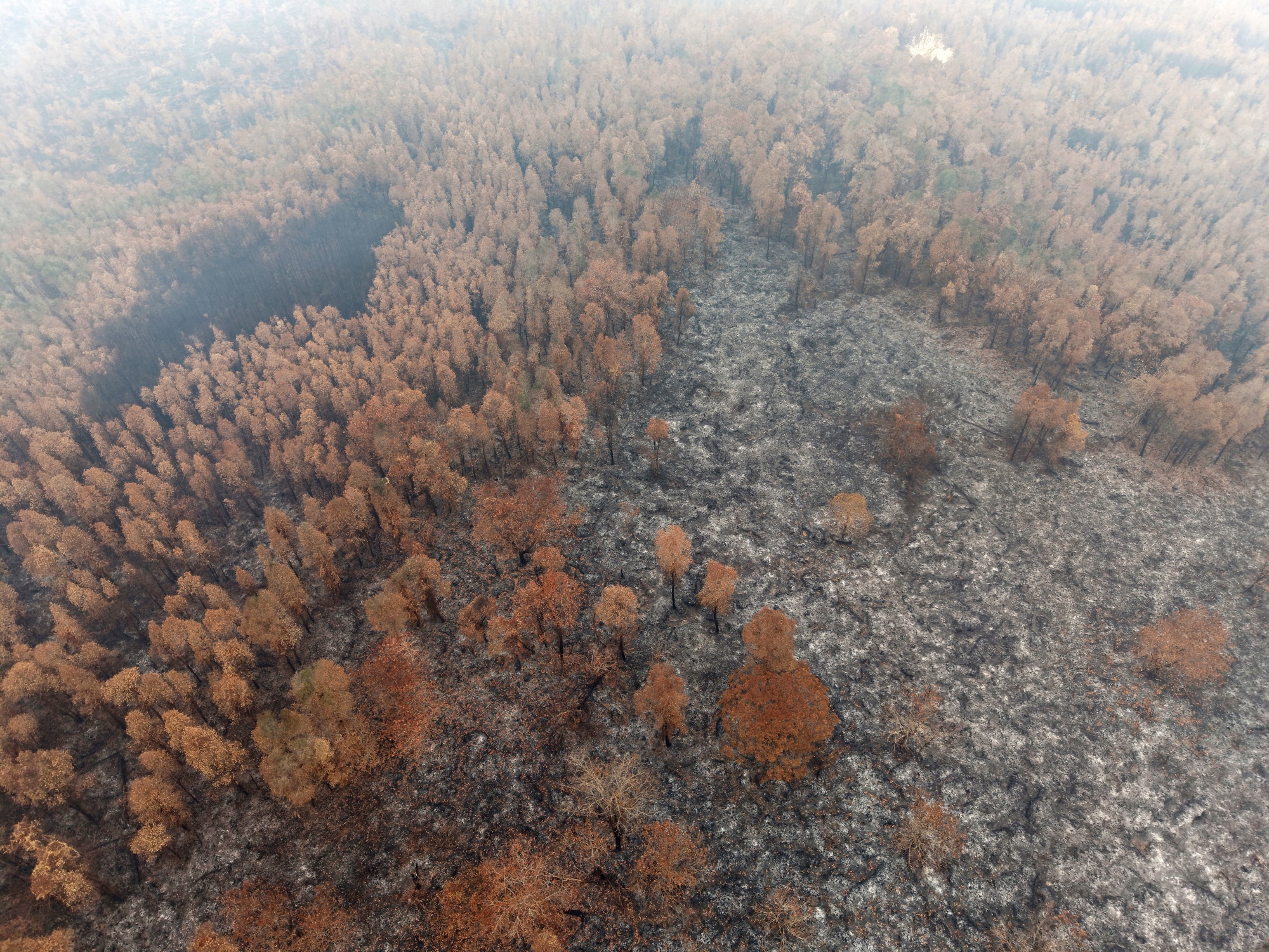 Image associated with story "Greenpeace Links 20 Agricultural Companies to Indonesian Fires"