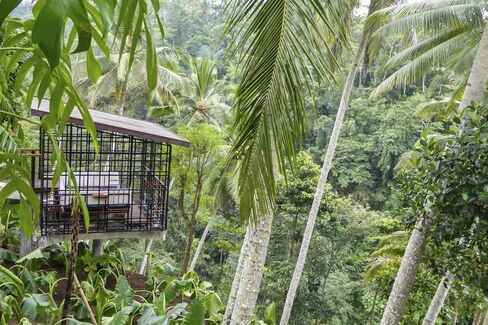 A futuristic treehouse café at Bali's Hoshinoya resort.