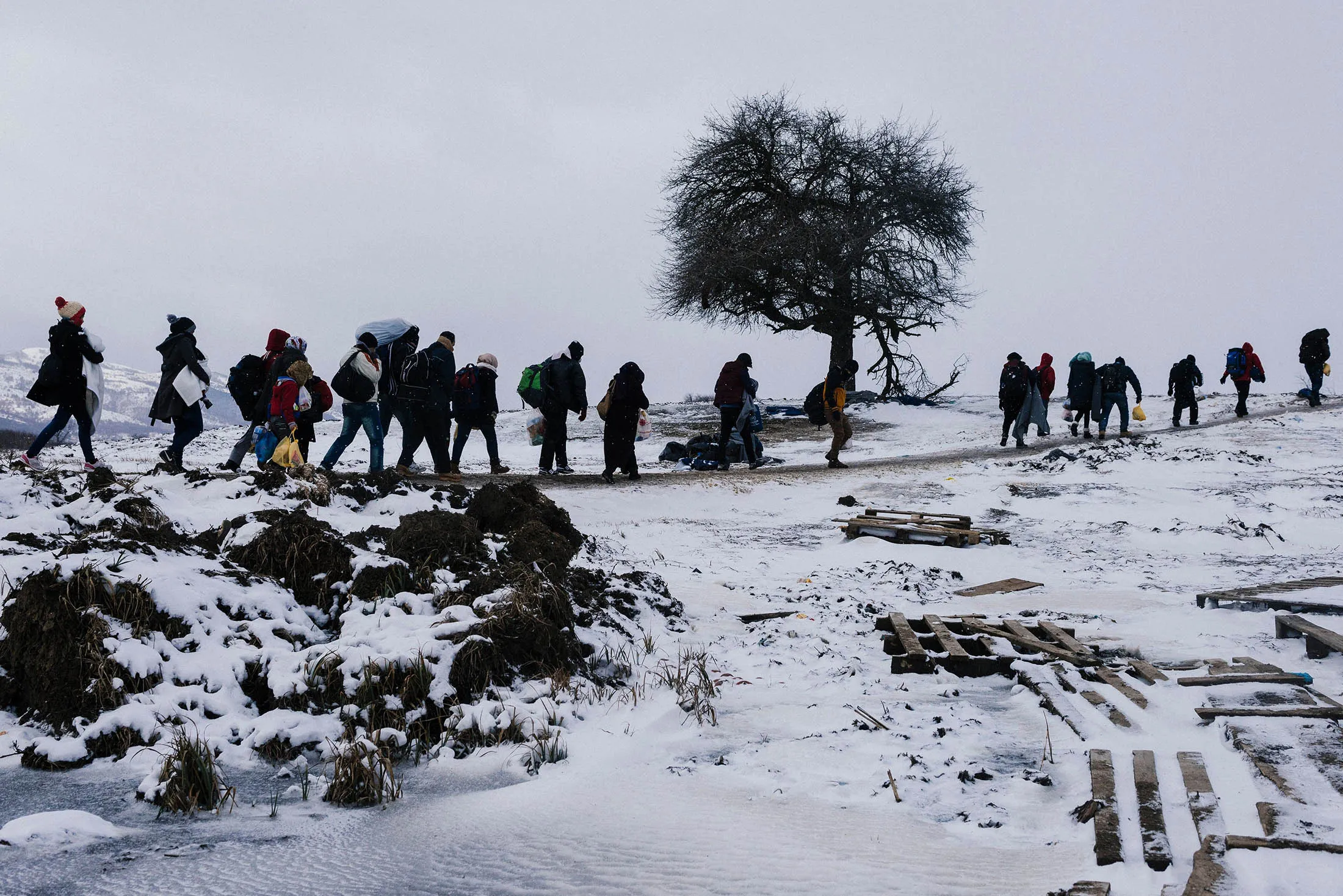Refugees walk through snow covered fields, after crossing the Macedonian border into Serbia near the village of Miratovac, on Monday.
