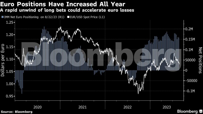 Euro Positions Have Increased All Year | A rapid unwind of long bets could accelerate euro losses