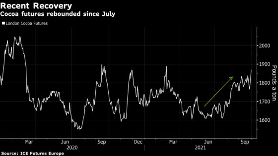 Big African Cocoa Crop Makes Chocolate Rebound More Crucial