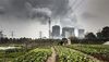 A man tends to vegetables as emissions rise from a nearby coal-fired power station in Tongling, Anhui province, China.