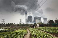 china coal