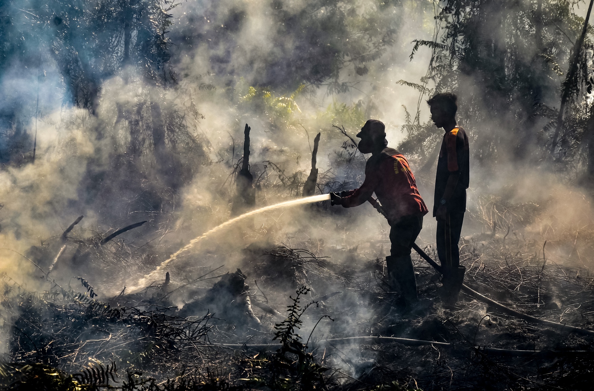 Firefighters extinguish a peat fire in Pekanbaru, Indonesia in Aug. 2.