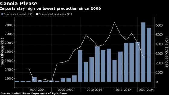 Europe’s Terrible Rapeseed Crops Are Pulling Down Global Supply