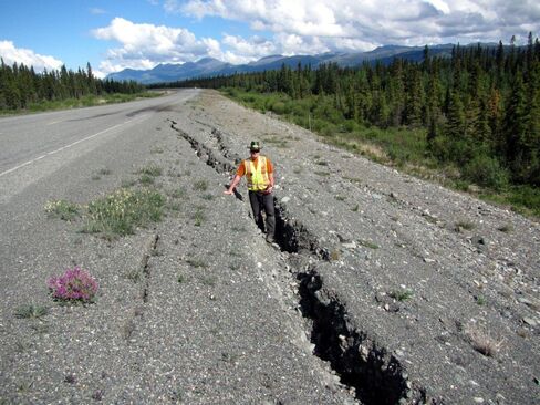 Paul Murchison, director of transportation engineering at the Yukon Department of Highways and Public Works, stands inside a rift caused by permafrost melting. 