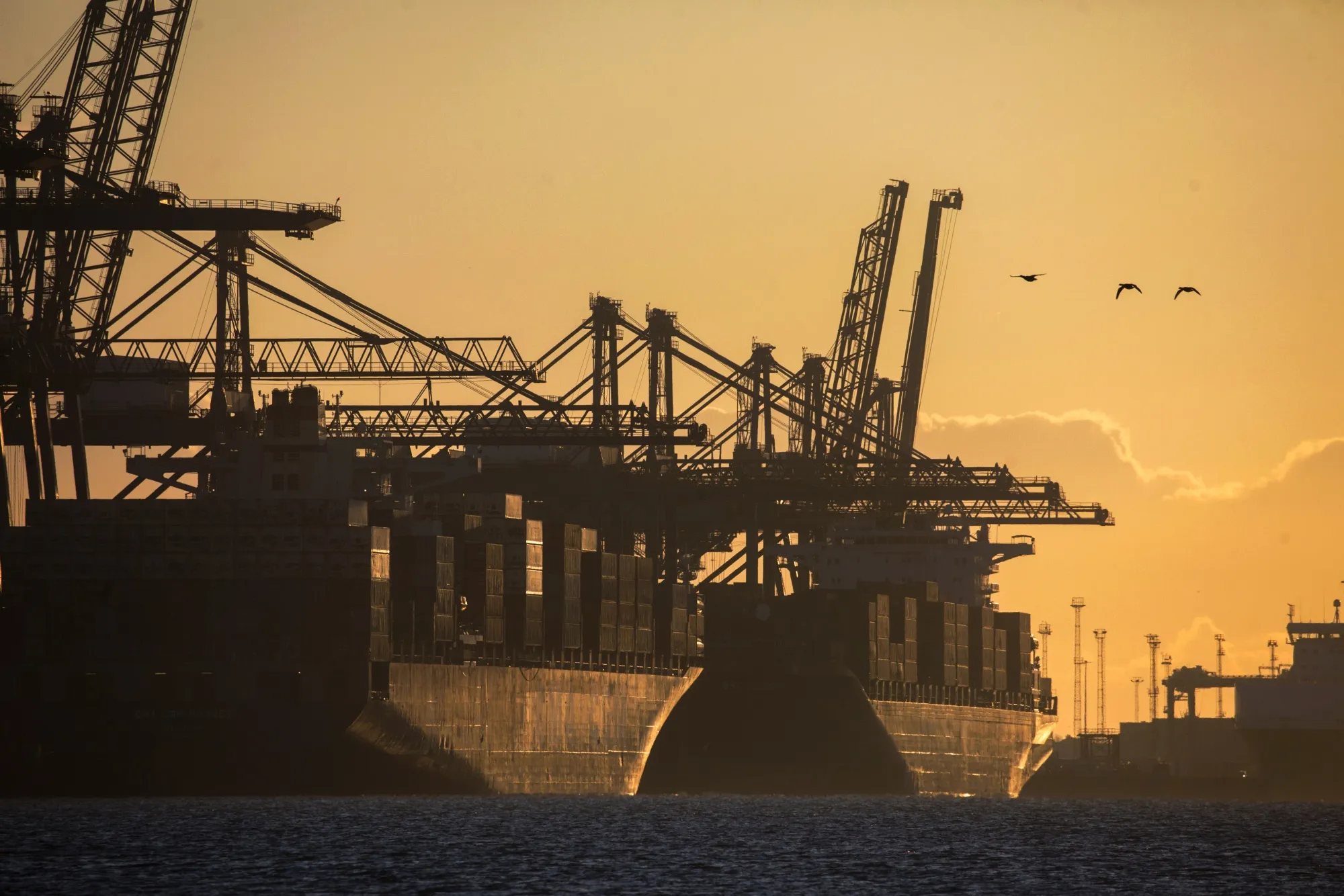 The Port of Felixstowe in Felixstowe, UK.