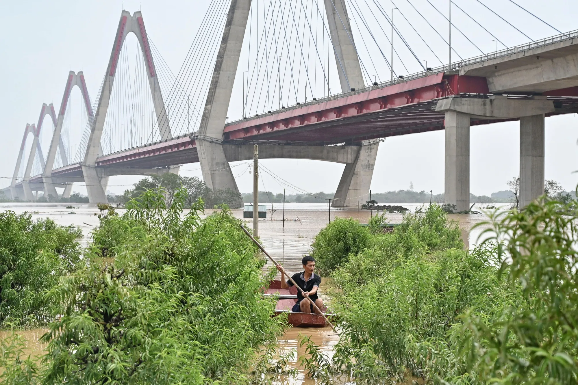 A flooded peach field following Typhoon Yagi in Hanoi on Sept. 12.