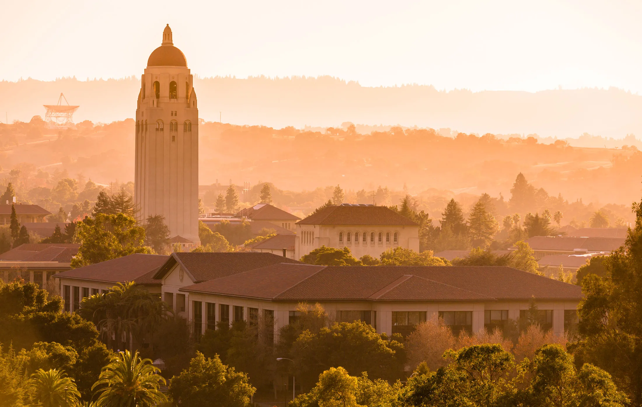 Stanford University