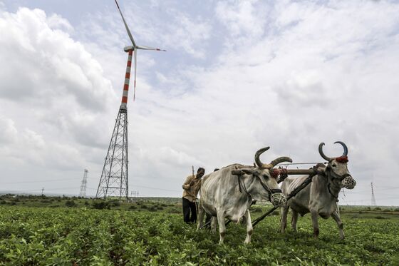 India’s Wind Power Sector Wants Rival Solar To Help Drive Growth