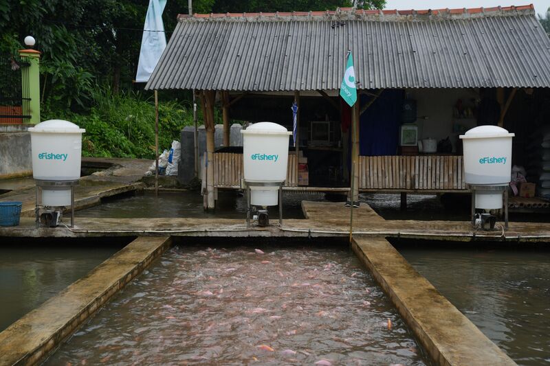 Agricultural Startup "eFishery" Robotic Dispensers