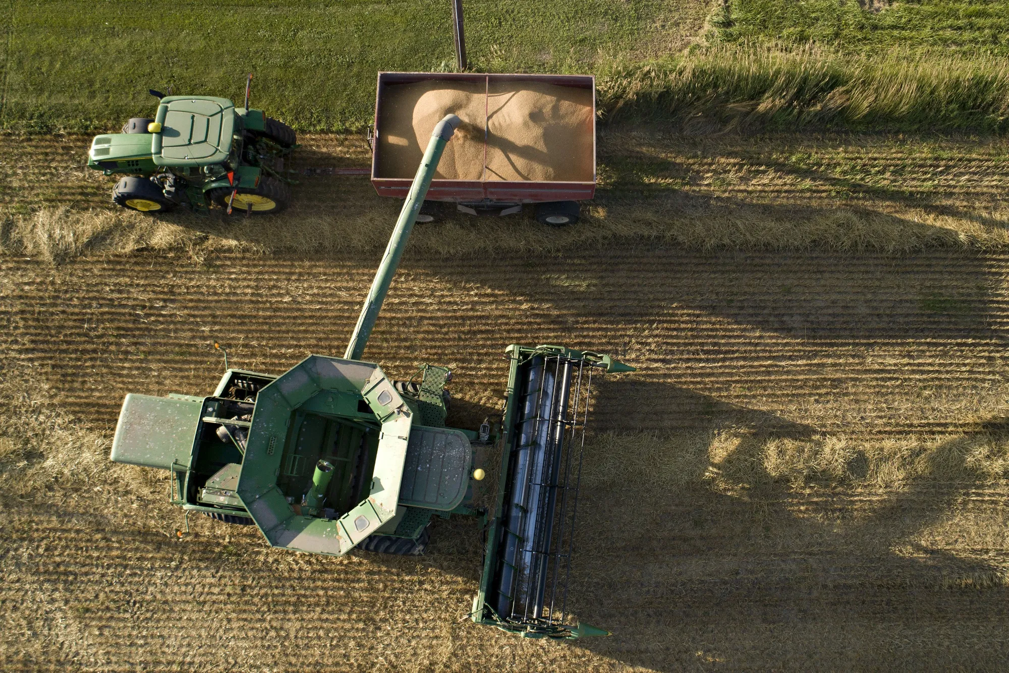 A&nbsp;combine harvester collects wheat during a harvest in Kirkland, Illinois, on July 15, 2019.&nbsp;