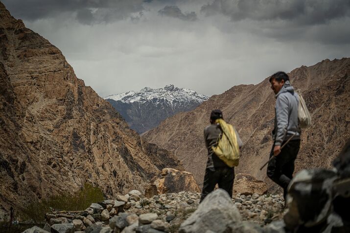 MAHA’s Himalayan Testosterone Booster Is Sometimes Full of Feces