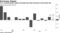 U.S. manufacturing output increased less than forecast on Hurricane Ida