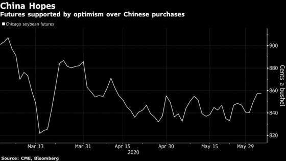 China Importers Likely to Keep Buying U.S. Soybeans, Analyst Says
