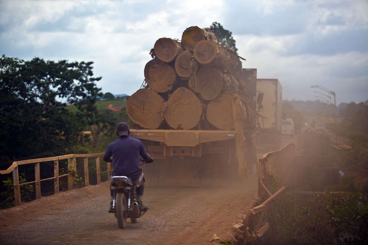 Cargill Plans to Work With Farmers on Save-the-Forest Initiative