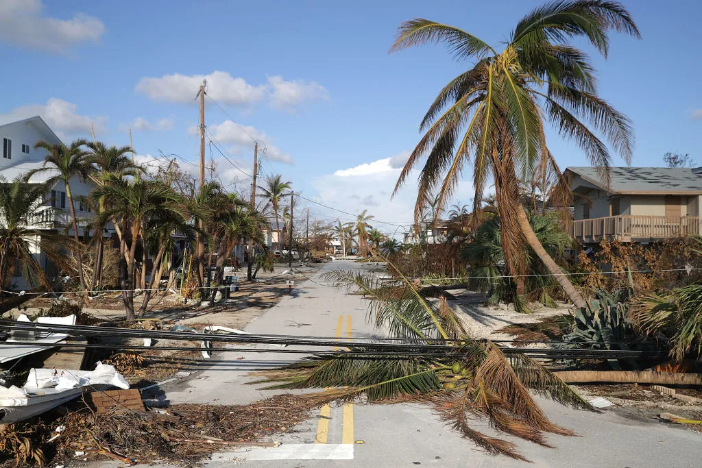Path of destruction.
