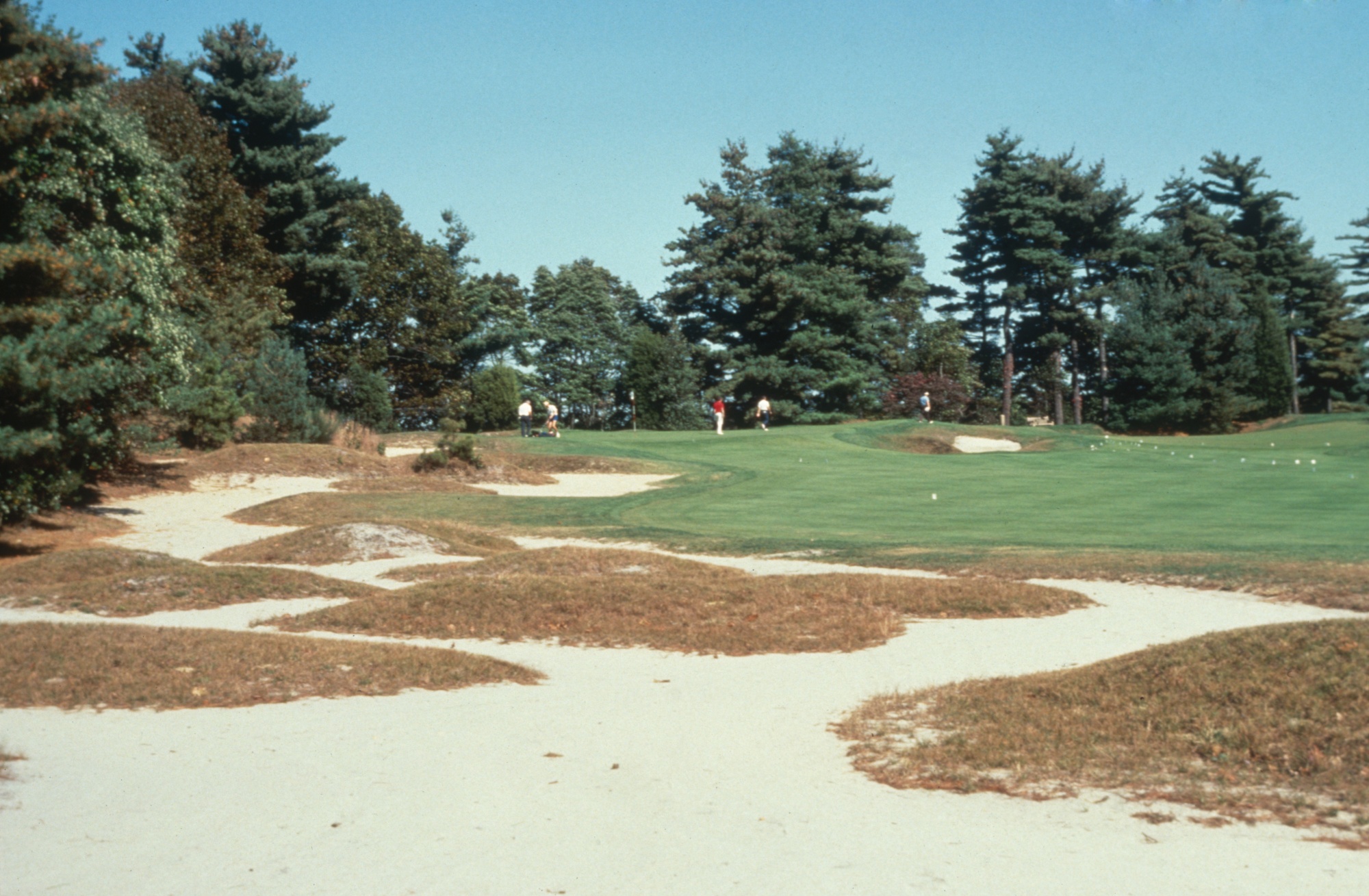 Pine Valley Golf Club Settles NJ Suit Over Exclusion of Women - Bloomberg