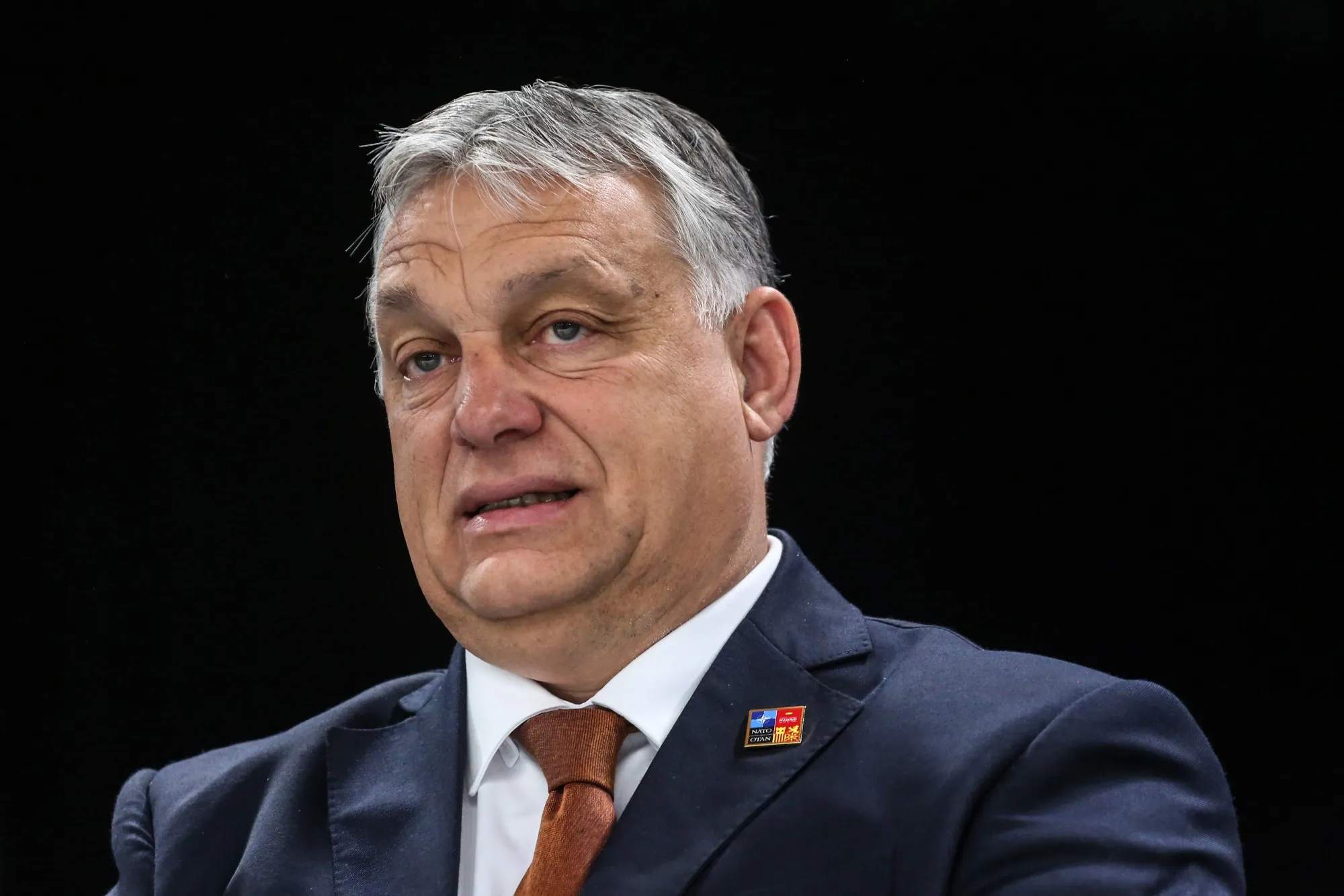 Viktor Orban, on June 30.