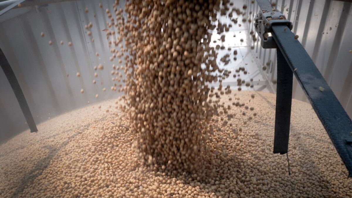 Trump Urges China to Massively Step Up Soybean Purchases