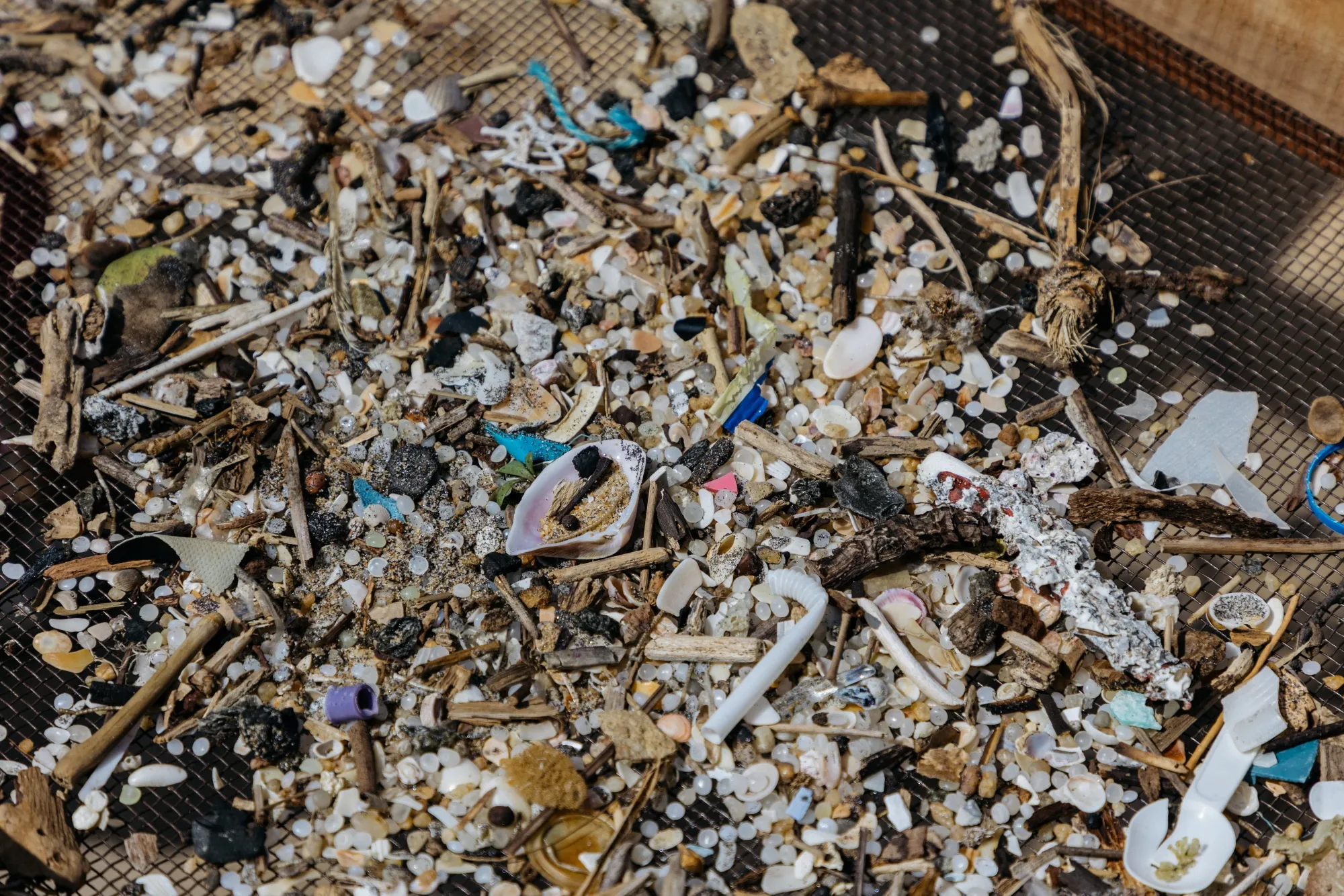 Collection of various objects and plastic nurdles washed ashore from a suken container ship.