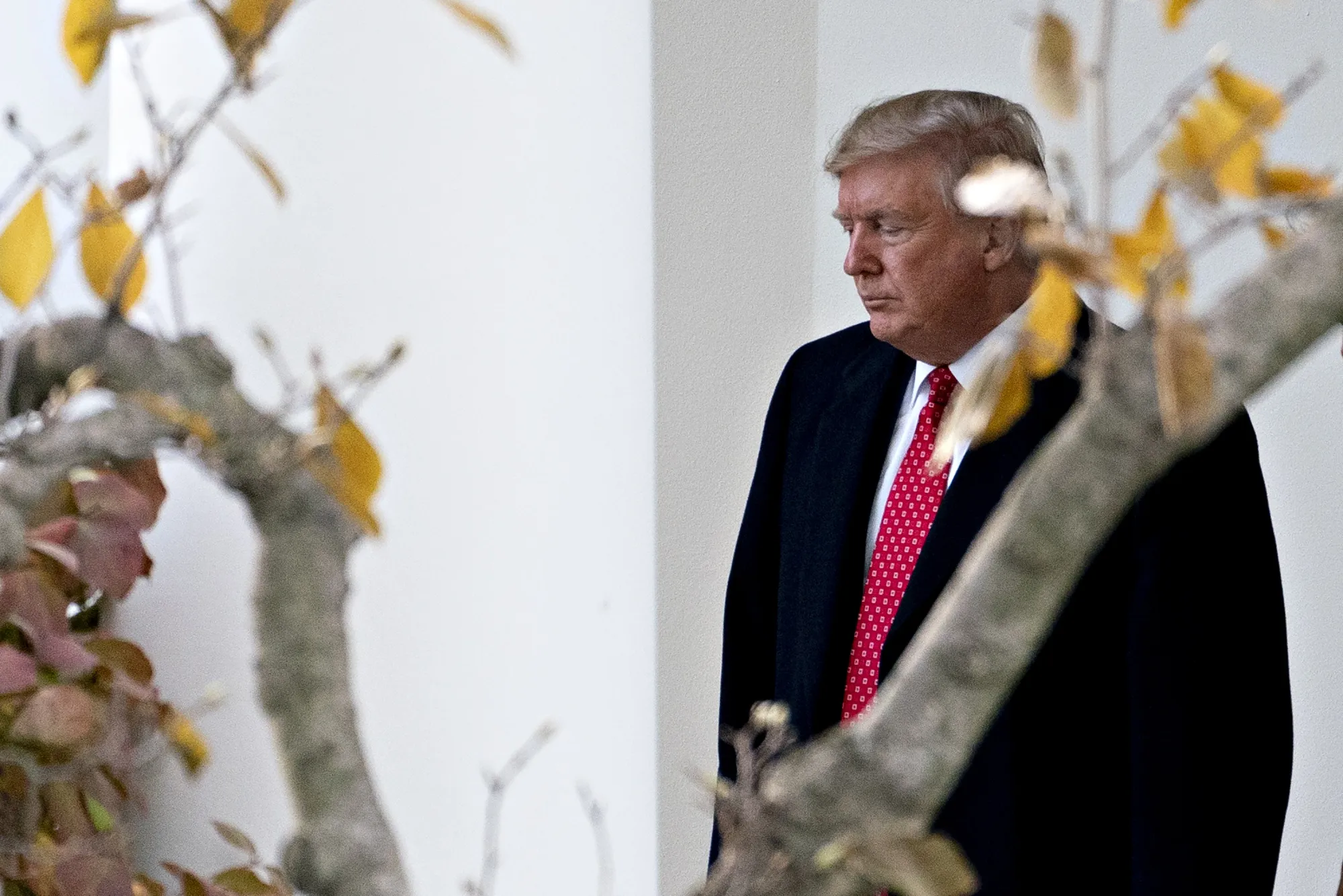 Donald Trump.