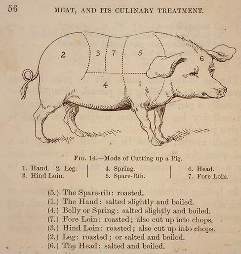 Diagram of pork cuts