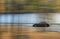 porsche-panamera-cars-bloomberg-05
