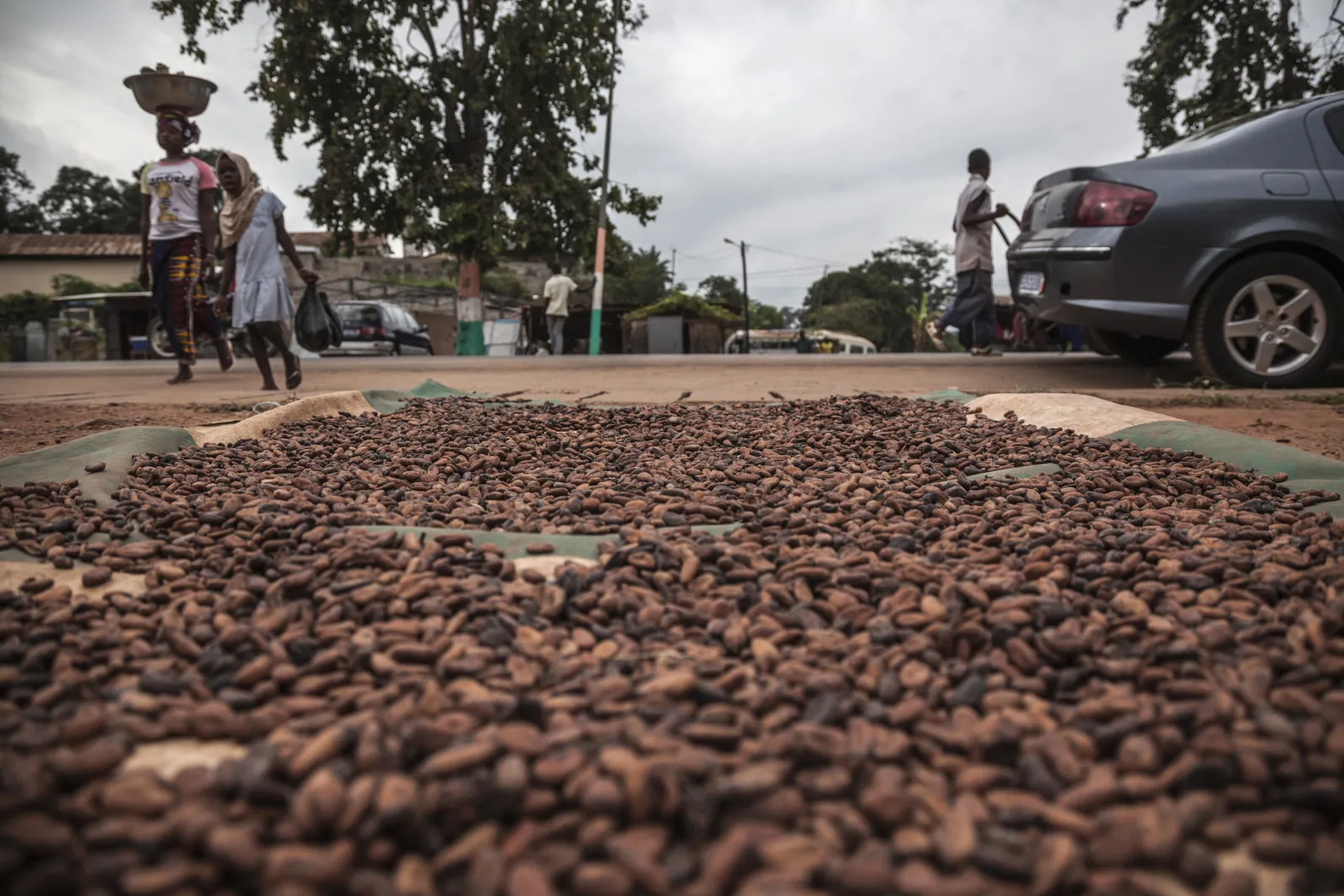Cocoa seeds sit on mats to dry on a roadside in Agboville, Ivory Coast, on Tuesday, Sept. 1, 2015.