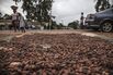 Ivory Coast Rains Have Cocoa Farmers on Edge for New Season