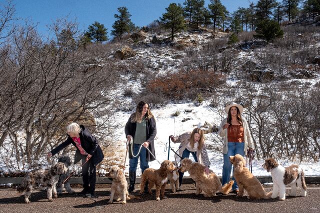 Shari Hall (second from left) with other doodle breeders in a Colorado Springs, Colo., park on Wednesday, April 2, 2025.