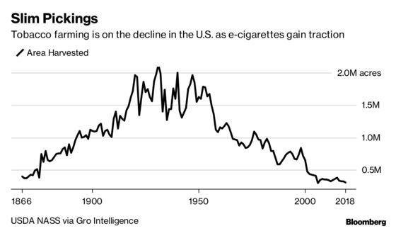 Vaping Puts a Choke Hold on the Last of America's Tobacco Farms