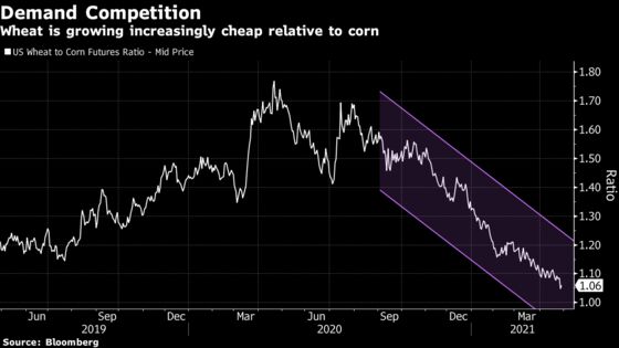 Signs Emerge That Pricey Corn Is Starting to Deter Buyers